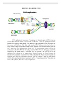 Biology - DNA Replication Process Summary