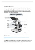 Completed Von Ohlen Microcellular Biology Lab 5 (Virtual Microscopy)