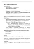 Aantekeningen hoorcolleges week 3 - Burgerlijk recht 1 (goederenrecht)