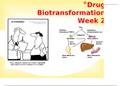 Drug Biotransformation