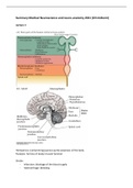 Summery Medical Neuroscience and Neuroanatomy (midterm)