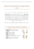Kenmerken alle gebitselementen (determineren van tanden en kiezen)