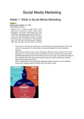 Social Media Marketing Business Lab Elective (2021-2022) - Summary of all articles