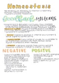 Biology Notes (The Nervous System)