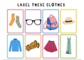 Label the Clothes | Fun Flashcard Learning *Print this POSTER of NEW Words* | Kids classroom ideas