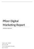 Pfizer Digital Marketing Report Individual assignment 