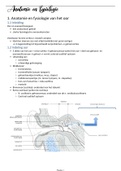 samenvatting anatomie en fysiologie van het oor F1
