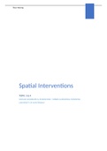 Summary Topic 3 & 4 - Spatial Interventions (2021)
