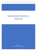 Samenvatting neurokinesitherapie 2 Praktijk