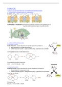 bio-th4-rol van enzymen bij stofwisselingsprocessen