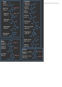 Amino Acids Classified