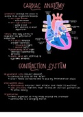 Cardiovascular System Class Notes