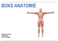 BOKS: volledige uitwerking anatomie HU fysiotherapie (Blokken: gezondheid, WSHen MSA)