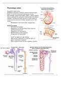 Samenvatting Physiology - Urinary system and fluid homeostasis