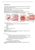 Samenvatting Physiology - Digestive system