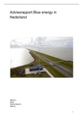 NLT - Blue Energy - Adviesrapport (hoofdstuk 8)