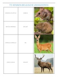 Lijst met te kennen Belgische zoogdieren - Gedragsbiologie 1
