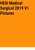 Exam (elaborations) HESI_Medical_Surgical_2019_V1__Pictures__1_. 