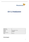 EVL 1.2 Analyseren, AD Sociaal Werk Windesheim