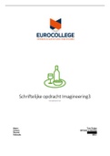 Schriftelijke opdracht Imagineering1 EuroCollege