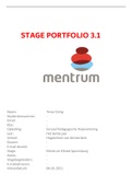Stageportoflio 3.1 en 3.2 