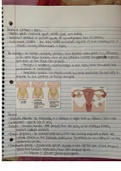 valencia college medical terminology chapter 4 notes part 2