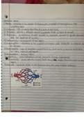 valencia college medical terminology chapter 3 notes part 3