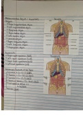 valencia college medical terminology chapter 2 notes part 2