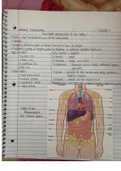 Medical Terminology Chapter 2 Notes