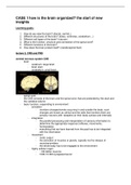 Summary BBS1004 - brain, behavior and movement 