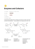 Fundamentals of Enzymes and Cofactors - Easy to Understand