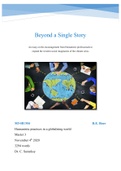 Beyond a Single Story  An essay on the encouragement from Humanistic professionals to  expand the western social imaginaries of the climate crisis
