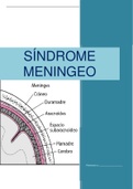 RESUMEN Sindrome Meningeo - Clinica 