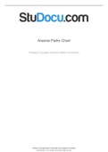 ATI PROCTORED PATHOPHYSIOLOGYOF ANAEMIA CHART