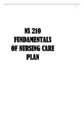 NS 210 Nursing Care Plan