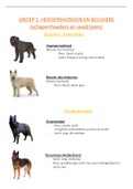 Rassenleer: honden samenvatting