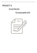 Groepsopdracht Project 6 Civiel Recht (Cijfer: 7)