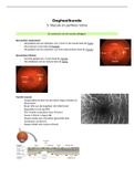 Oogheelkunde 5: Macula en perifere retina van Sander Beers