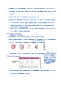 IB Biology SL/HL Complete Notes for Chapter 3.2 (Chromosomes)