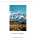 Final individual report which refers to environmental impacts of tourism (CITM2 TDI)