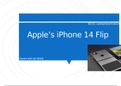 HBO sales presentatie over de Apple iPhone 14 Flip, beoordeeld aan de Haagse hogeschool met een 7 (fully written in english)
