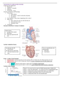 Assessment of cardiovascular function Study guide