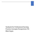 Testbank for Professional Nursing Practice Concepts Perspectives 7th edition Blais Hayes