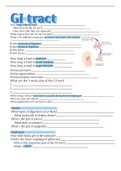 nutrition review sheet - chapter 3 (digestive system)