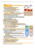 nutrition notes - chapter 8 (minerals) 