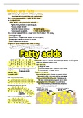 nutrition notes - chapter 5 (fats)