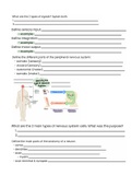A&P 1 review sheet - anatomy of the nerve 