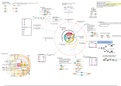 Poster cell cycle overview (advanced molecular biology NWI-BB17C)