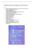 Summary endocrinology (NWI-BB048B)