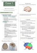 BBS1004 Brain, Behavior, and Movement